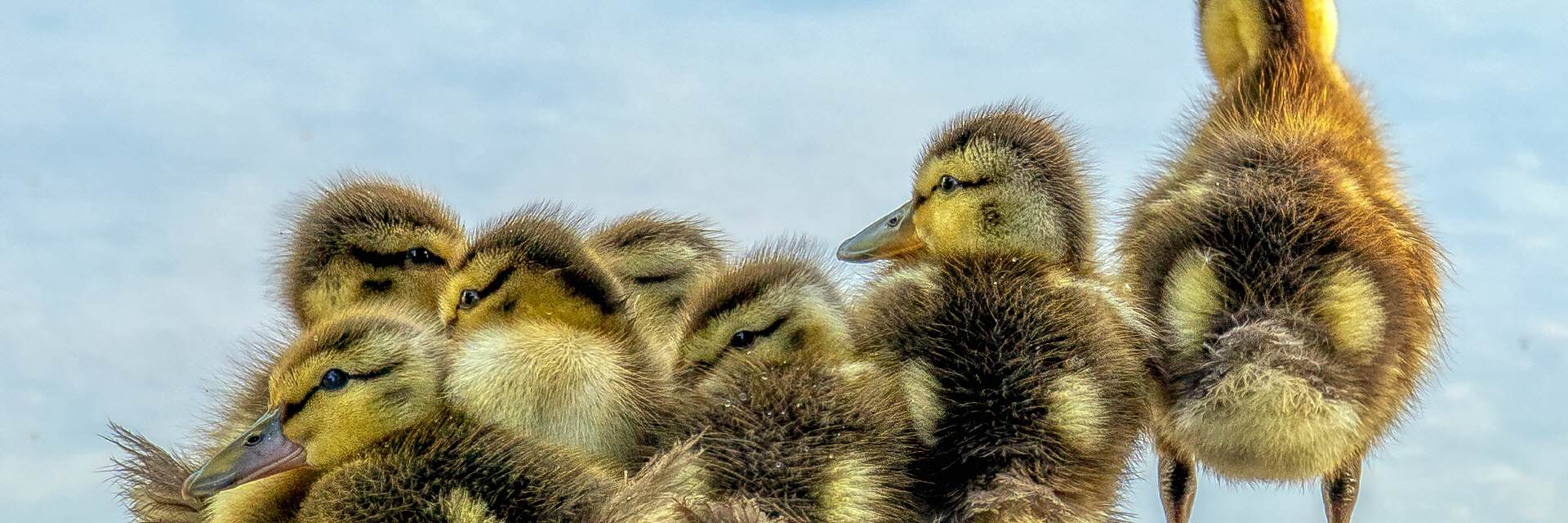 Positive Erfahrungen im Familienstellen Seminar